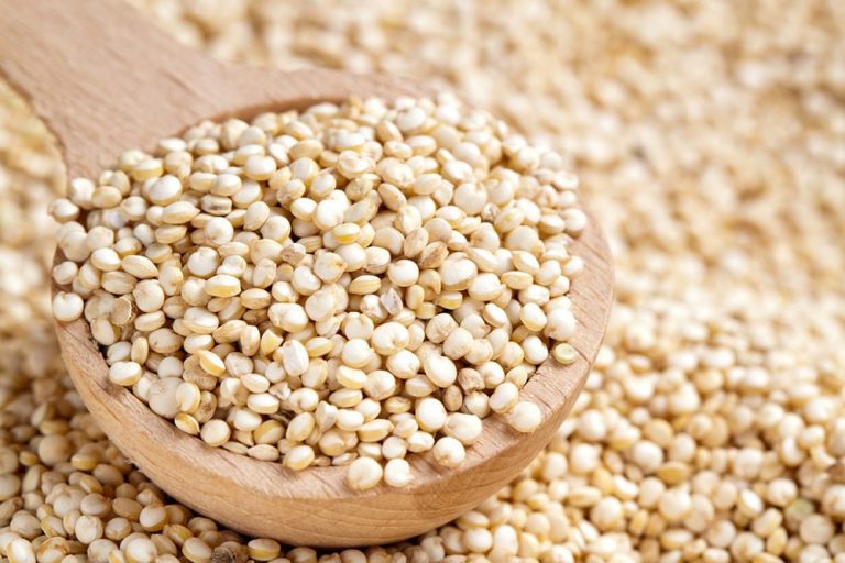 Conheça os benefícios da quinoa e experimente uma deliciosa receita de risoto