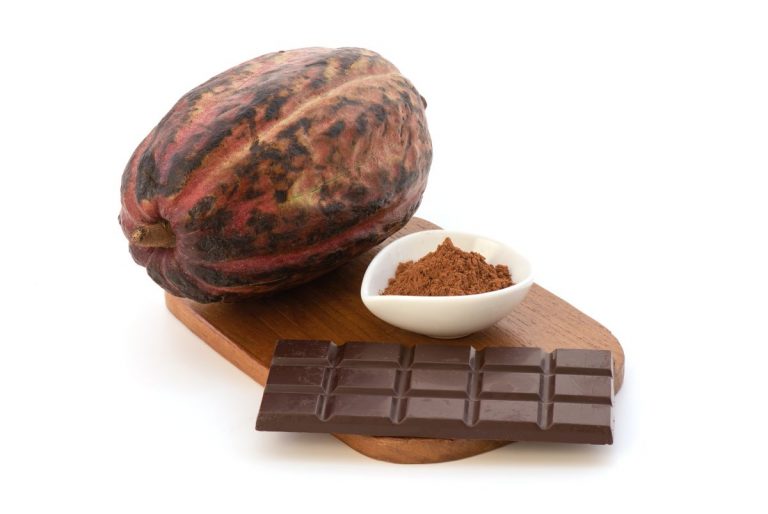 O cacau, matéria-prima do chocolate, reduz a pressão arterial elevada e protege o coração, diz estudo