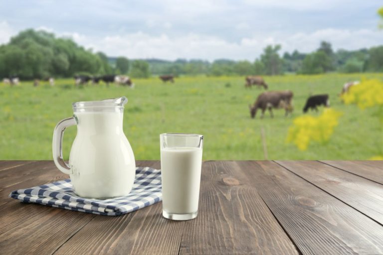 Pesquisa aponta que consumo diário de leite reduz em até 66% o risco de morte por doenças cardiovasculares