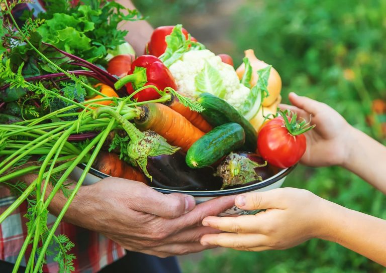 Aposte nas fibras em sua alimentação: seu intestino e sua saúde agradecem