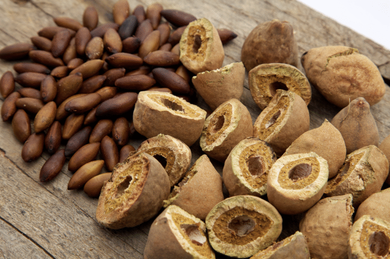 Três receitas com castanha de baru: o superalimento que você precisa incluir na dieta