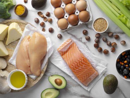 Dieta rica em proteína, mas com baixas calorias, pode afetar saúde dos ossos